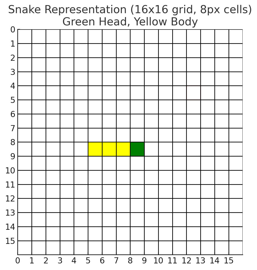 Snake Grid Representation